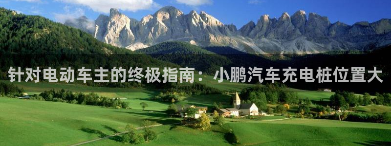威廉希尔提现：针对电动车主的终极指南：小