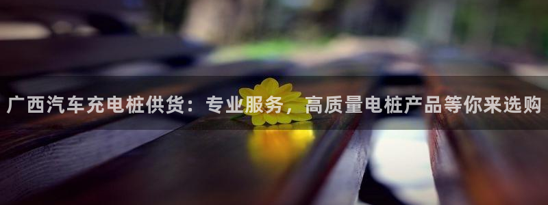 威廉希尔对比法：广西汽车充电桩供货：专业