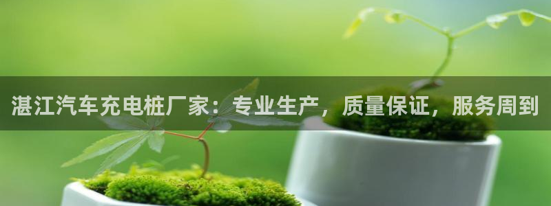 威廉国际是不是真的：湛江汽车充电桩厂家：专业生产，质量保证，服务周到