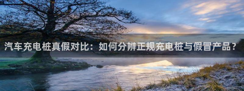 法乙威廉希尔初赔研究：汽车充电桩真假对比：如何分辨正规充电桩与假冒产品？