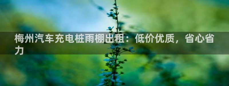 威廉希尔西甲1.44,4.6,6.5什么赛果：梅州汽车充电桩雨棚出租：低价优质，省心省
力