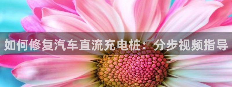 威廉指数配合什么使用比较准确：如何修复汽
