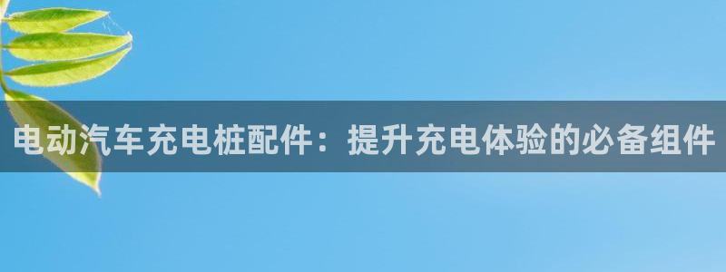 威廉希尔中文网站是不是真的：电动汽车充电