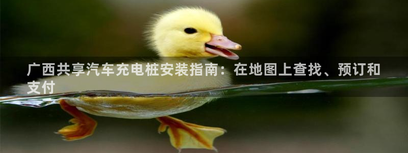 威廉指数怎么使用：广西共享汽车充电桩安装指南：在地图上查找、预订和
支付