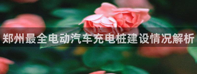威廉比分网：郑州最全电动汽车充电桩建设情