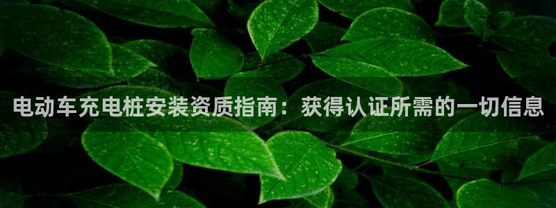 威廉国际是个啥东西：电动车充电桩安装资质