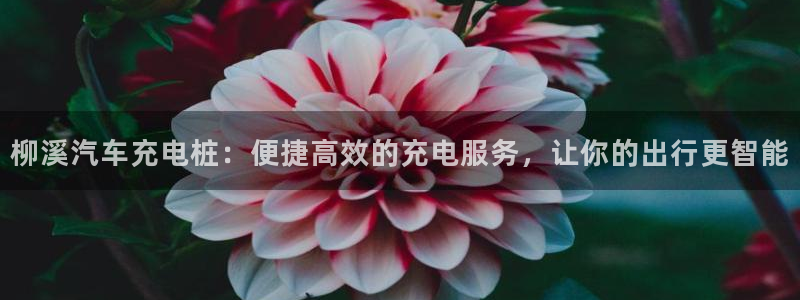 如何看威廉希尔：柳溪汽车充电桩：便捷高效的充电服务，让你的出行更智能