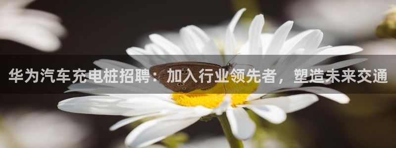 威廉希尔地区：华为汽车充电桩招聘：加入行